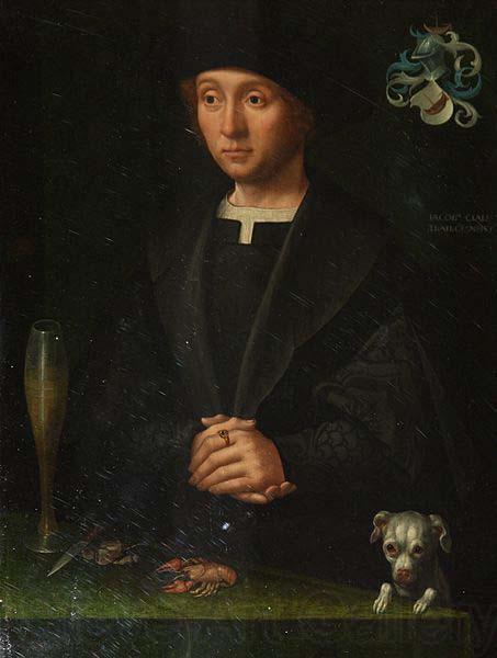 Jacob Claesz van Utrecht Member of the Alardes Family
